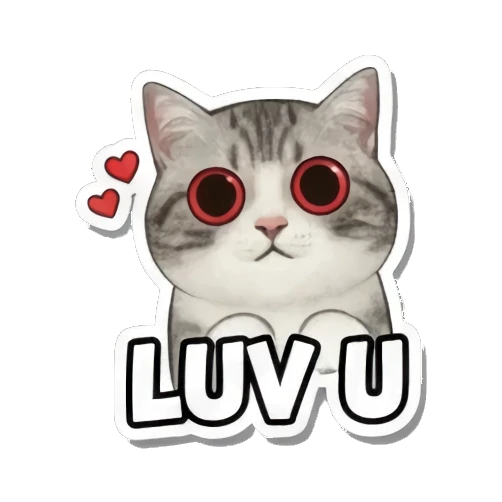 Cool cat wearing sunglasses (HEEHEE). Cute Cat Expressions sticker for expressive chats and social replies.