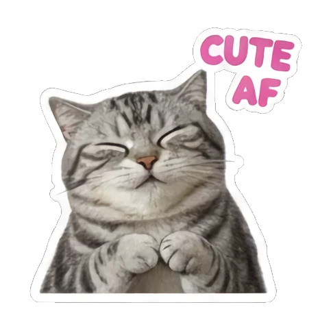猫咪神秘表情 Grumpy Tabby Daily sticker for expressive chats and social replies.