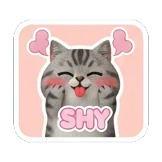 Tabby cat blushing shyly with SHY text Tabby Cat Daily Moods sticker for expressive chats and social replies.