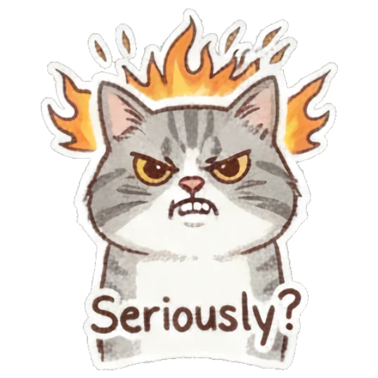 Cat looking angry with fire aura, text Seriously? Fluffy Doodle Cat Expressions sticker for expressive chats and social replies.